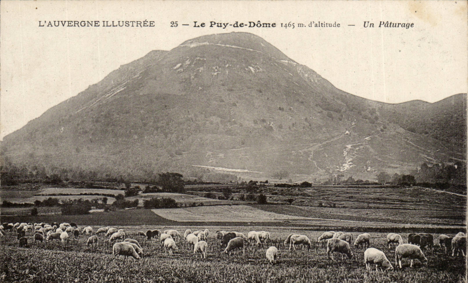 Auvergne CPA Puy de Dome a pasture (sheep)