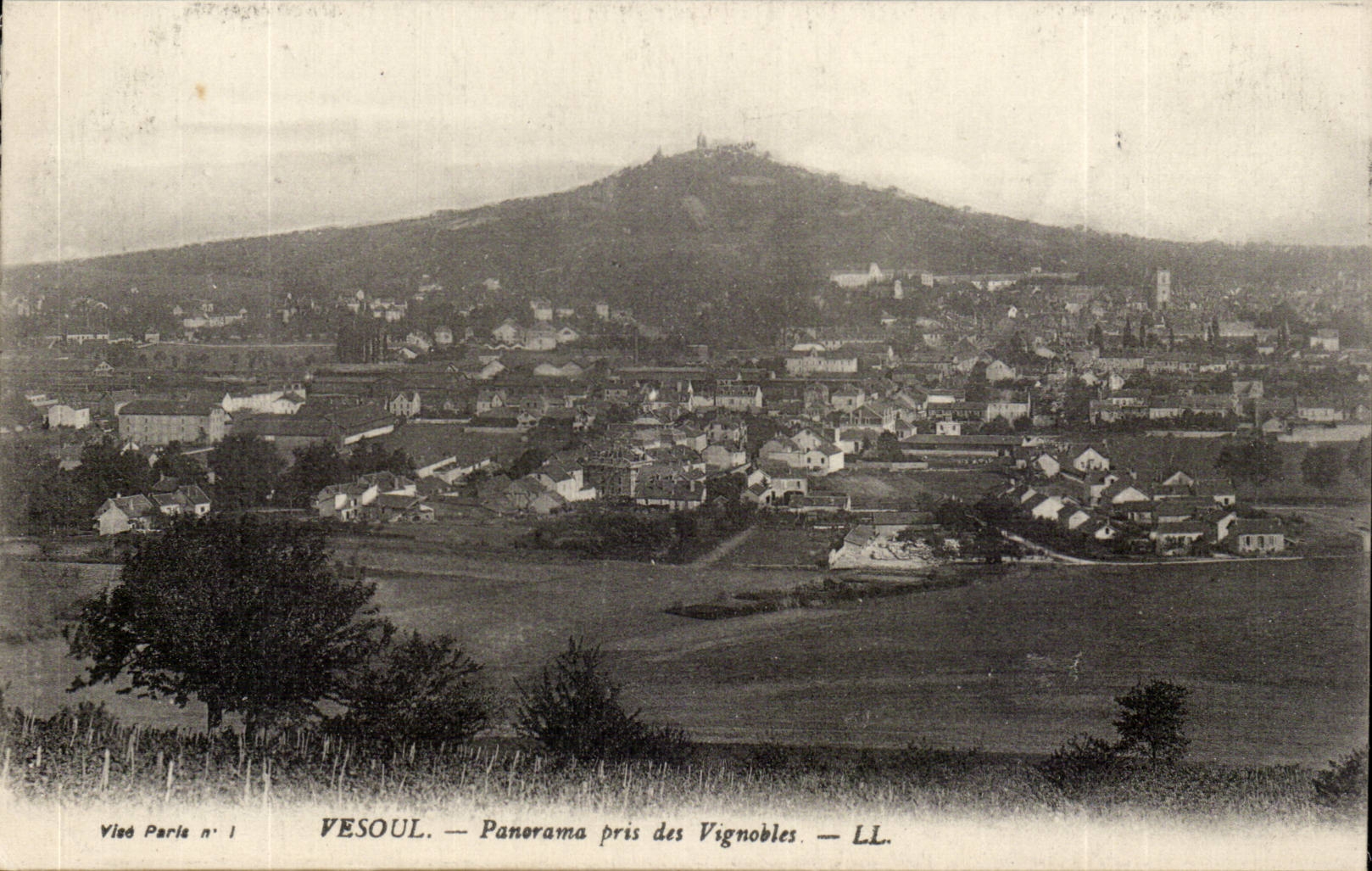 Vesoul CPA Panorama taken of the Vineyards