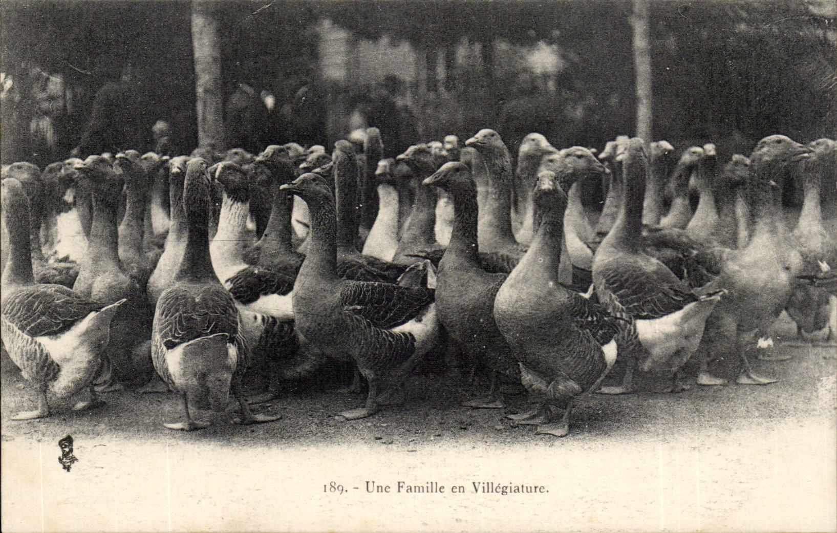 CPA a family in holiday (breeding geese)
