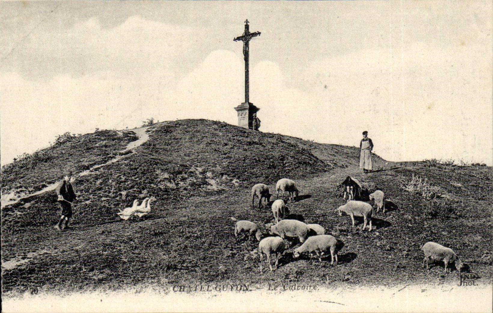 Chatelguyon CPA the martyrdom (sheep and shepherd)