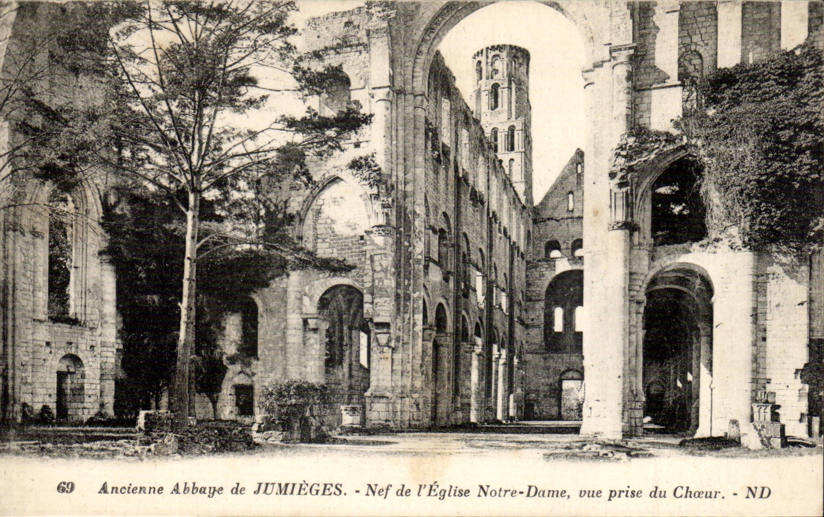 CPa Old abbey of Jumieges Nave of the church Our Lady Seen from of the Chorus