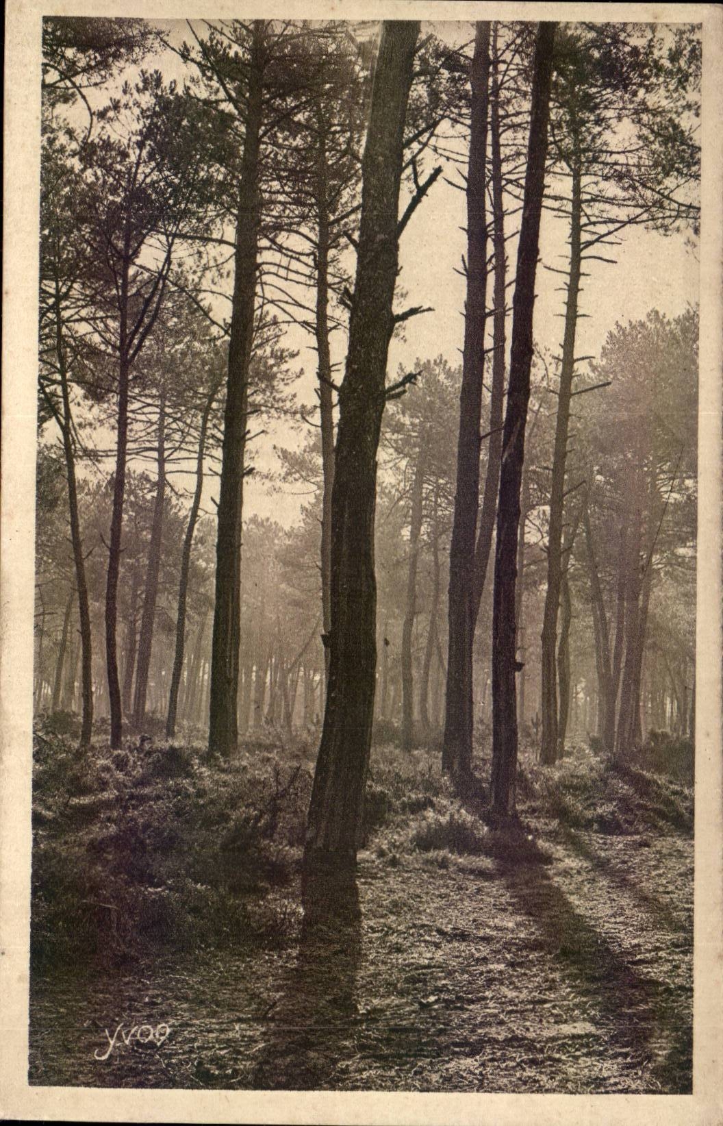 CPA Moors of Gascogne Morning of autumn