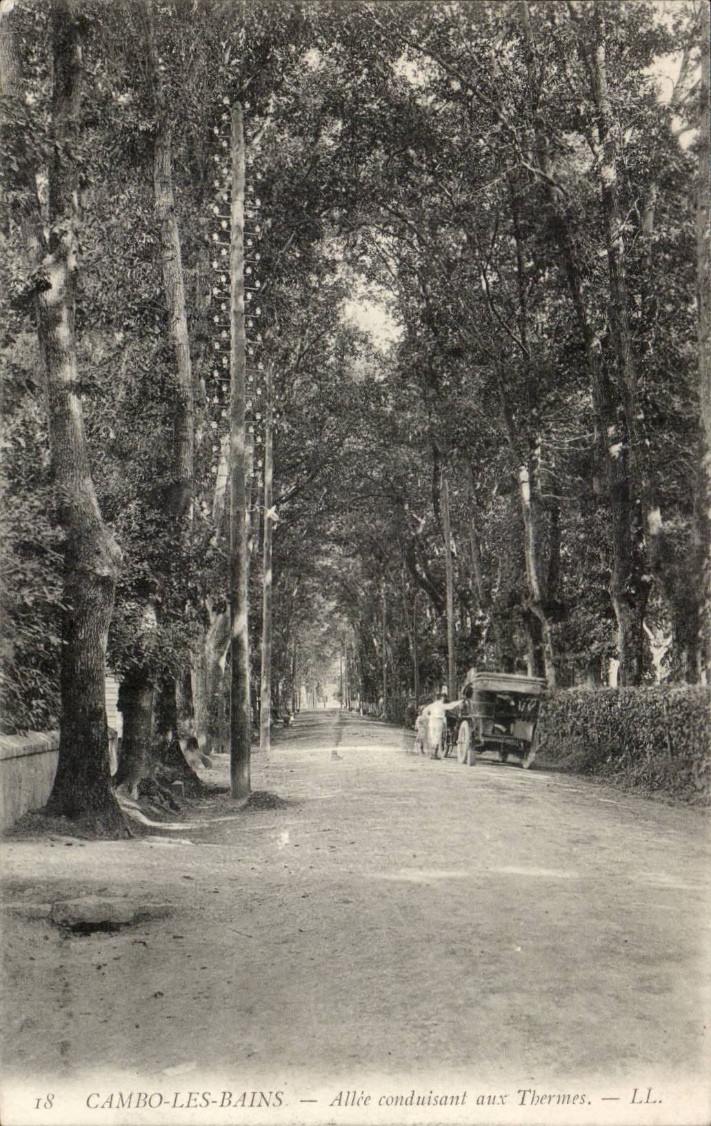 Cambo les Bains CPA Allee leading to the thermal baths