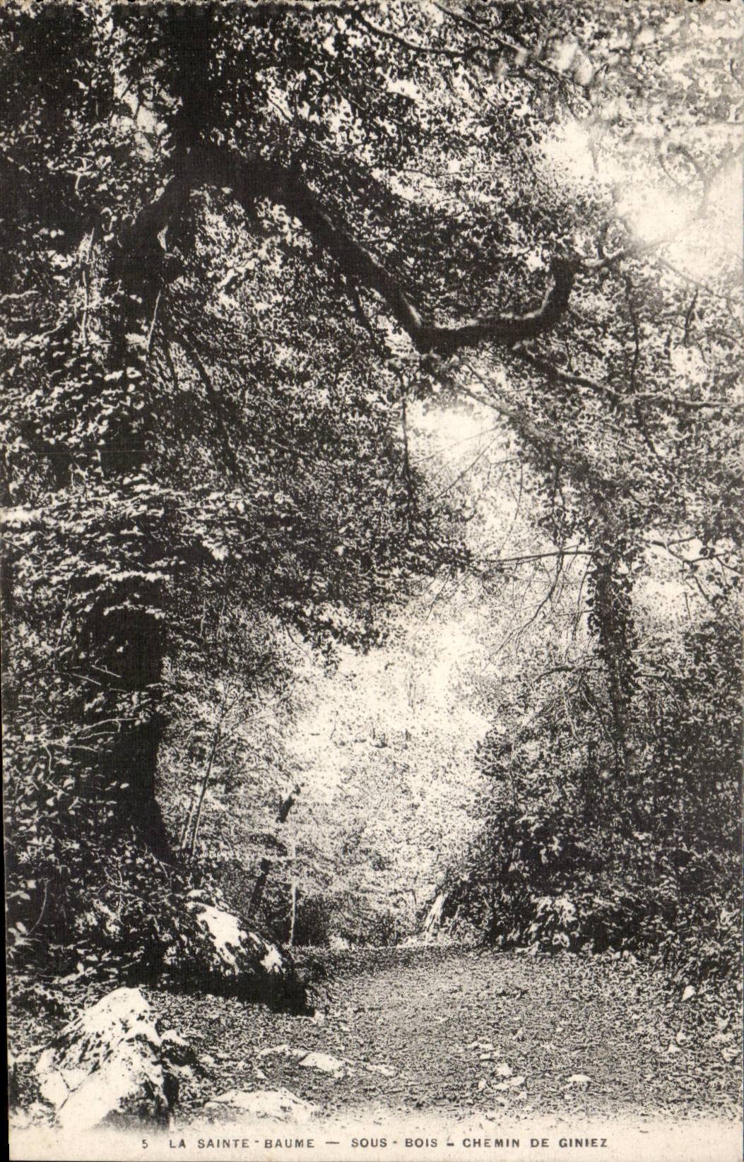 Sainte Balsam CPA Under wood Way of Giniez