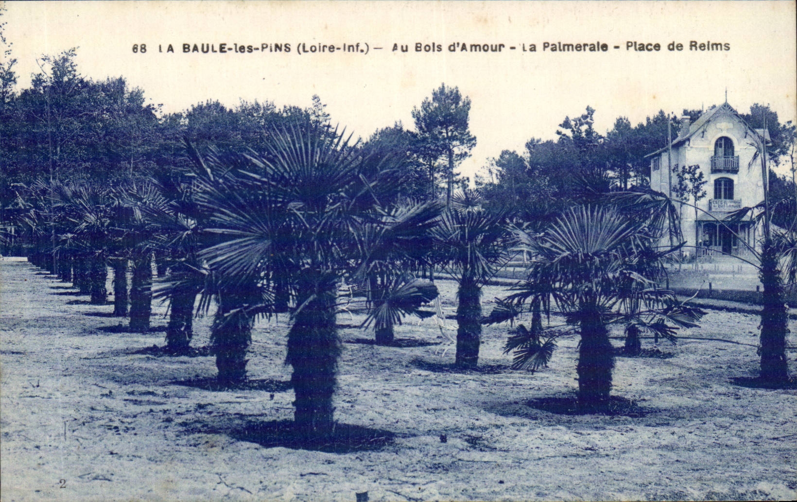 La Baule on Mer CPA With the wood of love the palm plantation Places from Reims
