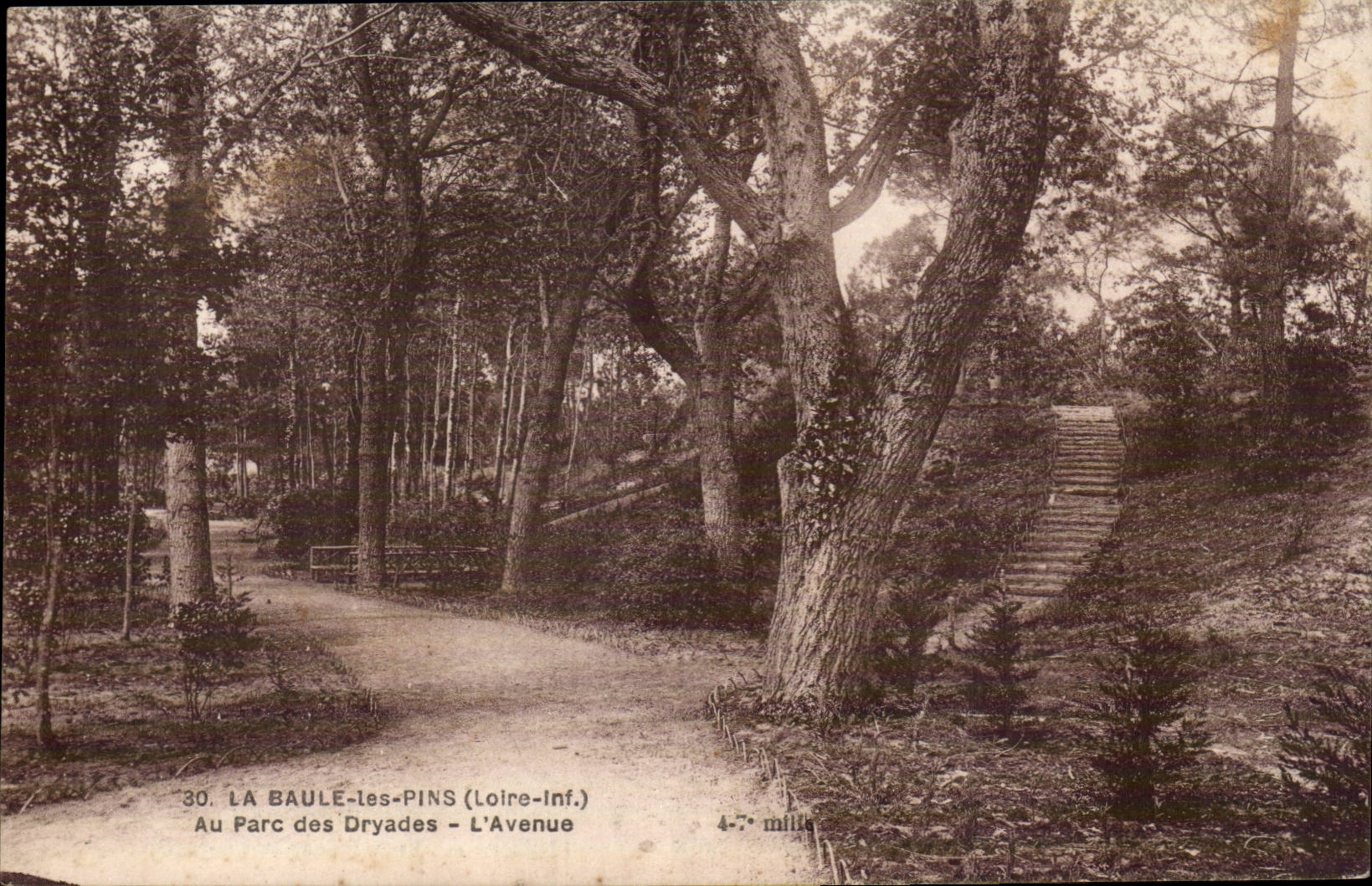 La Baule-Kiefern - mit dem Dryades Park - die Allee - CPA