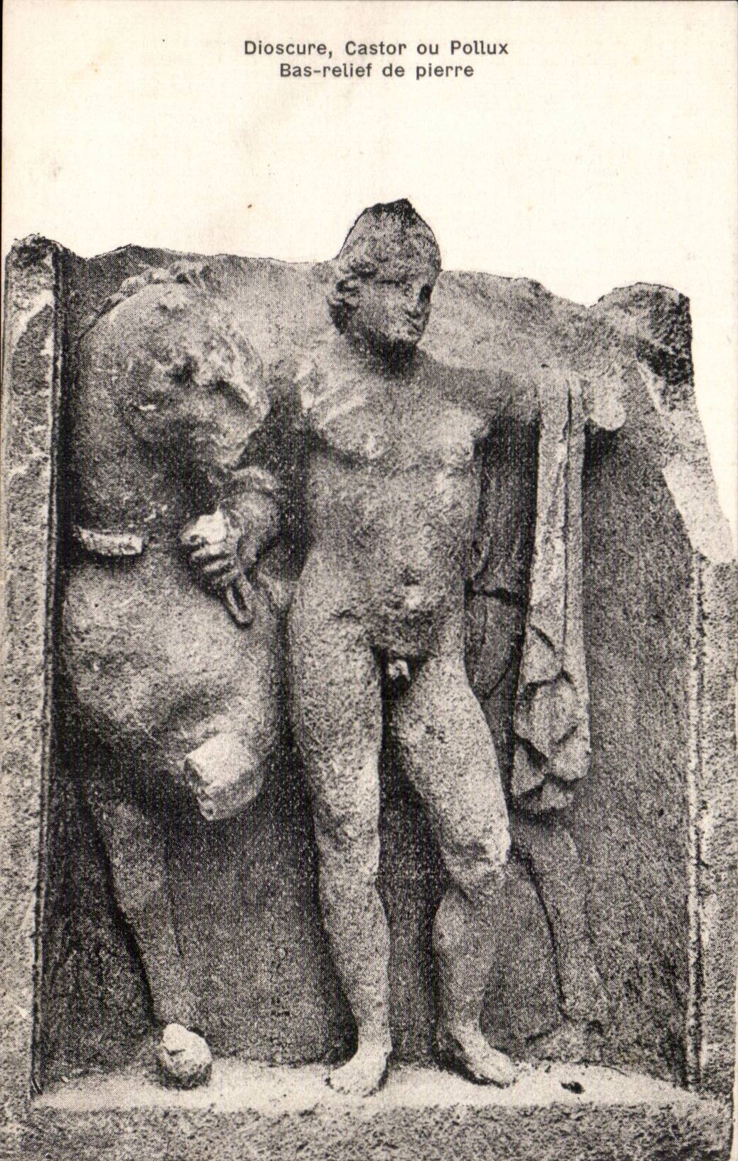 Dioscure - niedrige Entlastung - Biber- oder Pollux-Schleifsteine - Skulptur - Kunste von ihnen - CPA