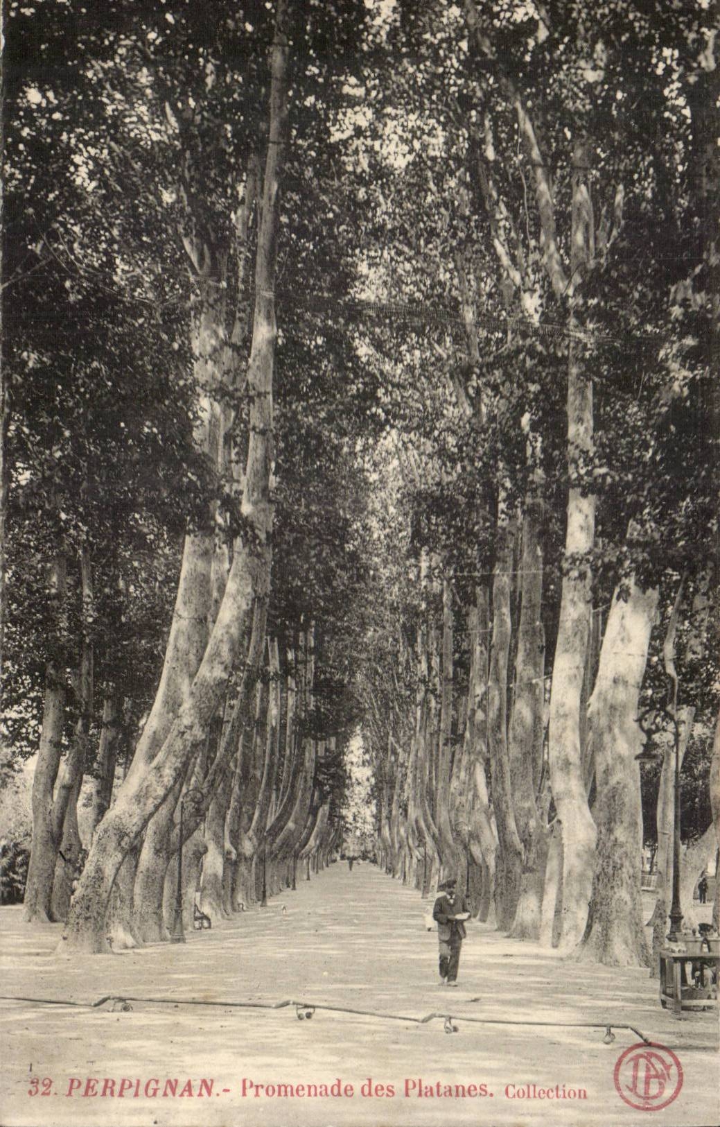Perpignan - Promenade des Plantanes - CPA 
