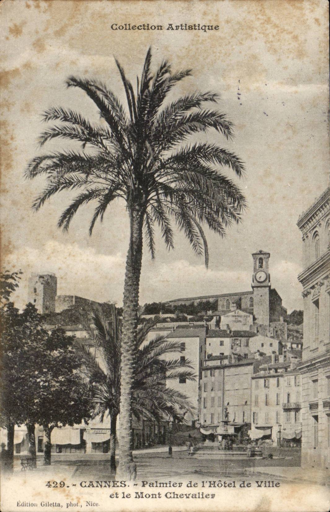 Cannes CPA Palm tree of the town hall and the Mount Knight