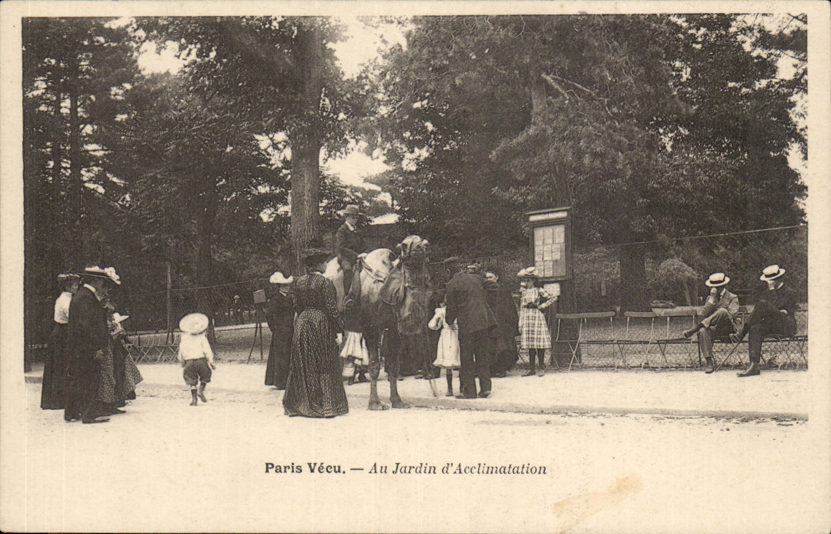 Paris Vecu CPA Au jardin d'acclimatation (camel chameau) TOP