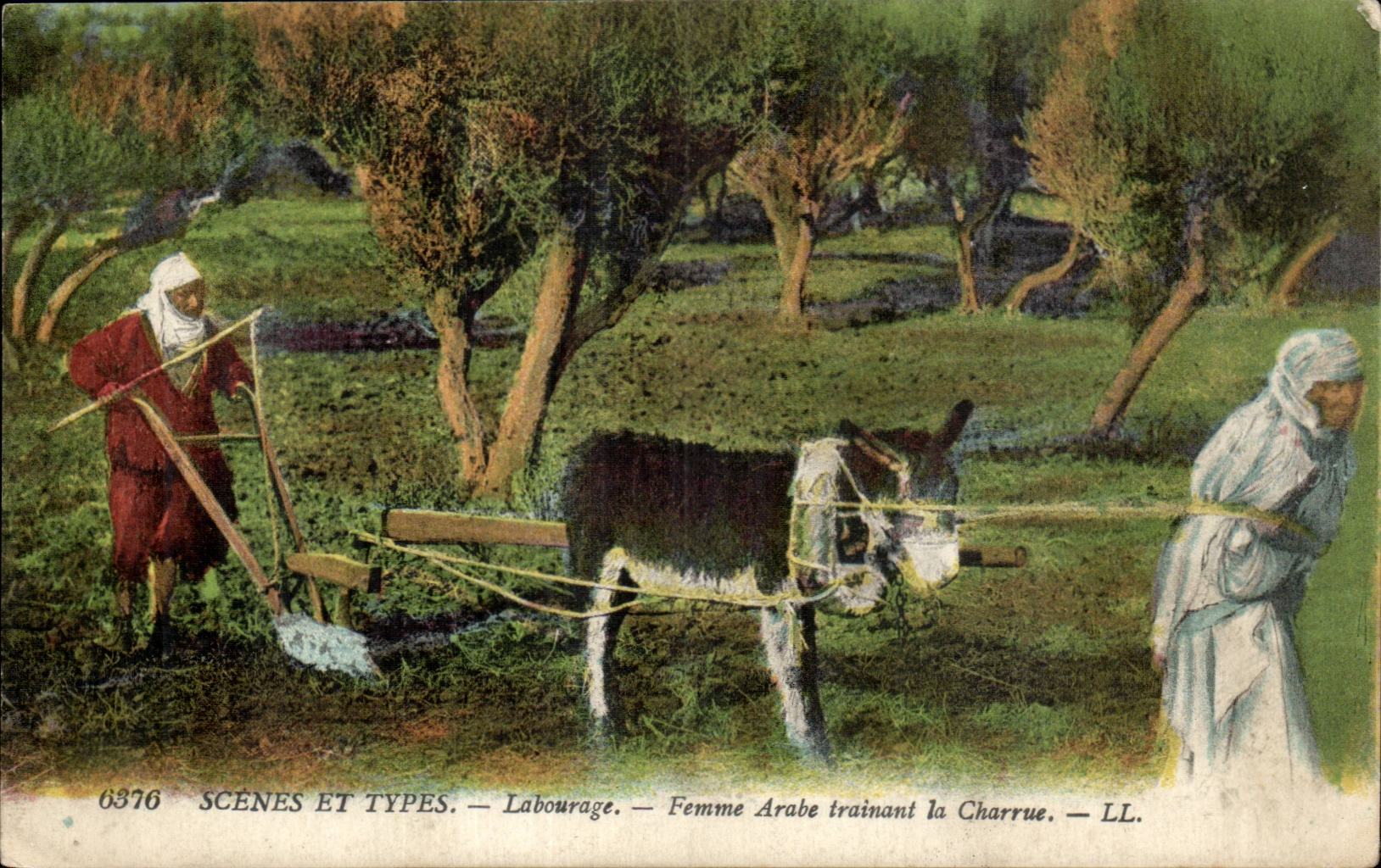 Szenen Algerien-CPA und bebauende arabische Standardfrau die den Pflug (Esels zeichnen Esel)