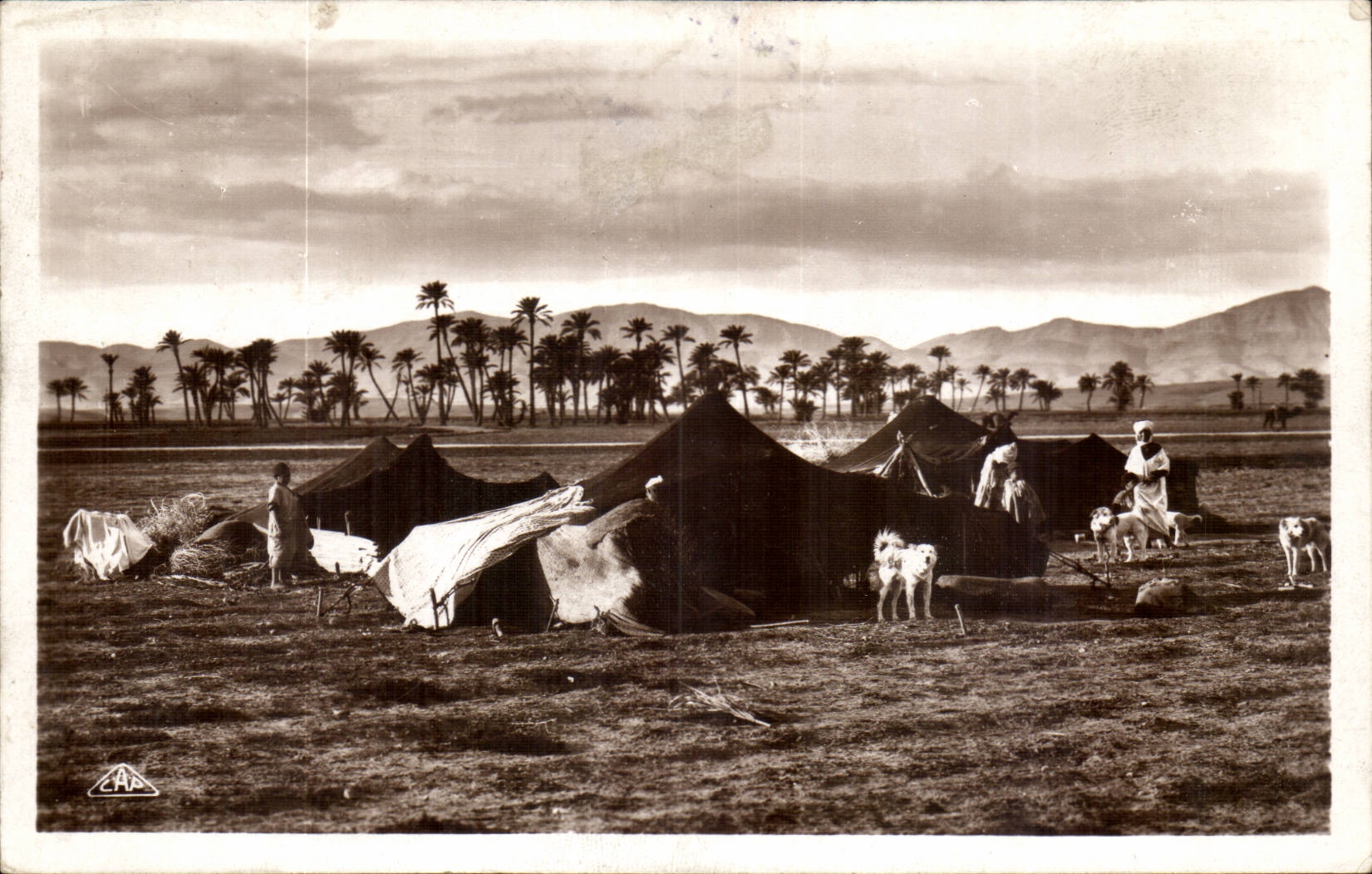 Szenen Algerien-CPA und Standardlager der Nomaden