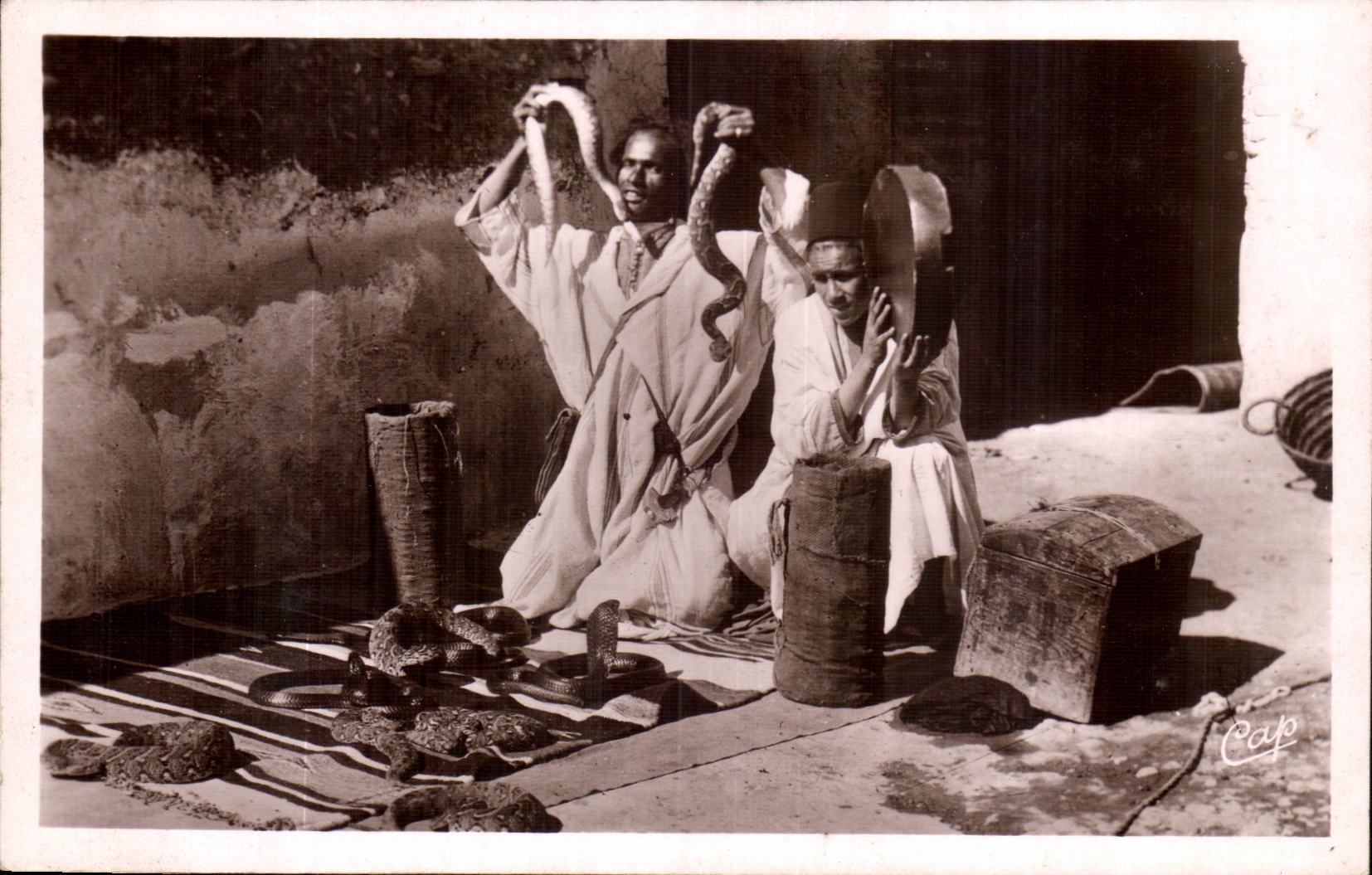 Szenen Algerien-CPA und Standardschlangecharmeur (Schlange)