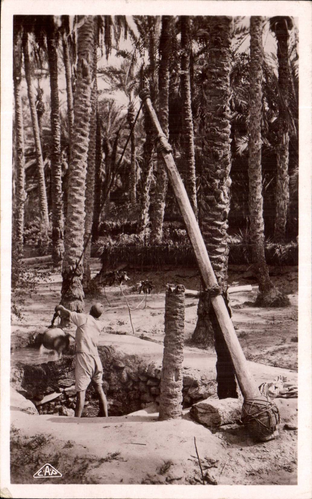 Szenen Algerien-CPA und Standardbrunnen in einer Palmenplantage