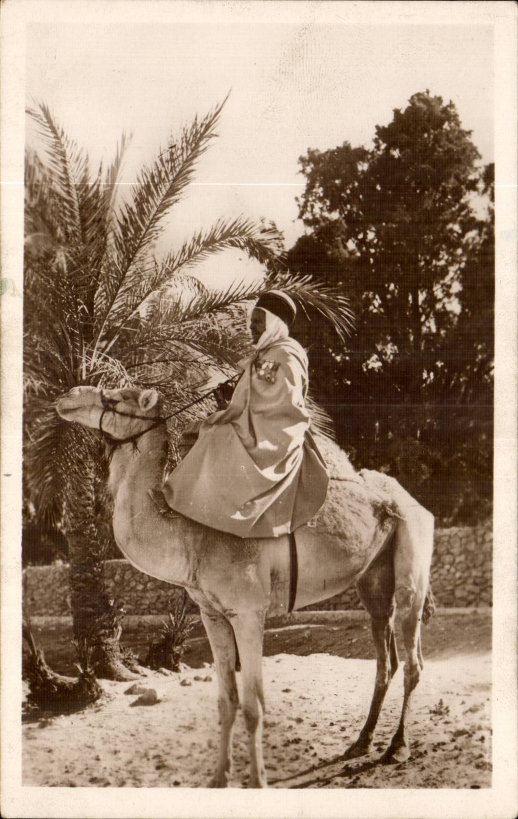 Szenen und Standards Algerien-CPA ein schones meharist (Kamelkamel)