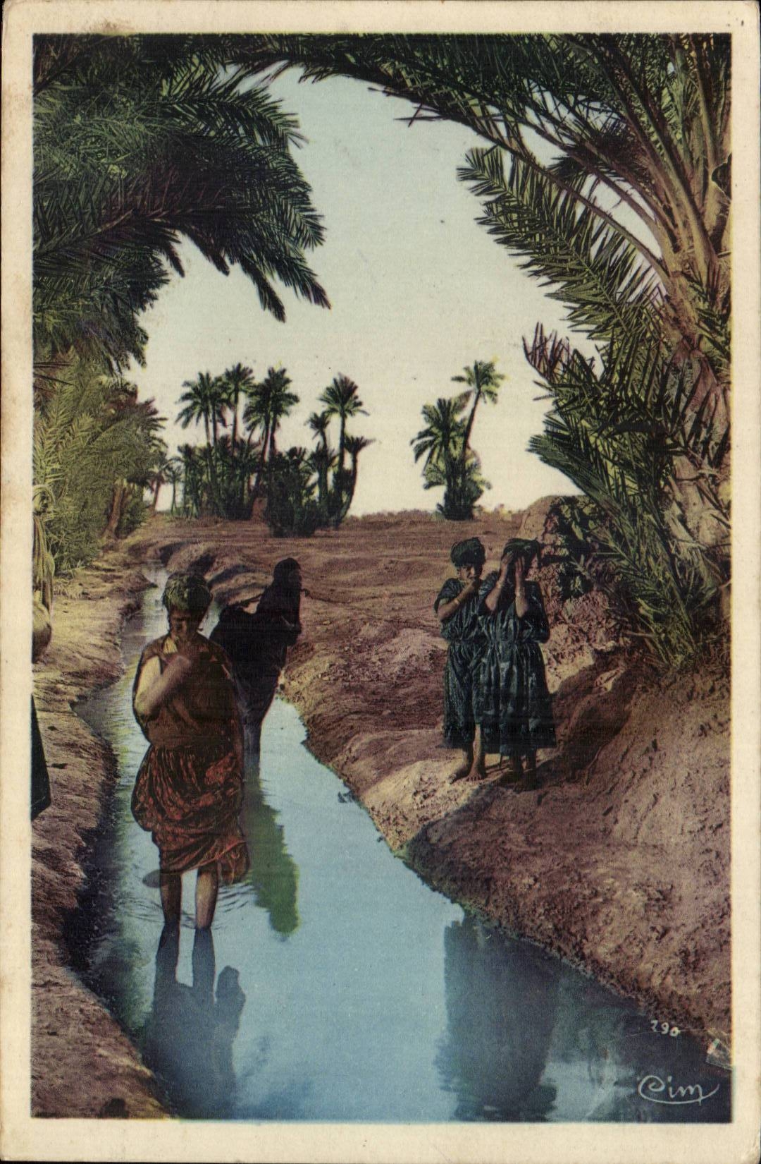 Szenen- und Standardfrauen Algerien-CPA mit dem Bewasserungkanal in einer Palmenplantage