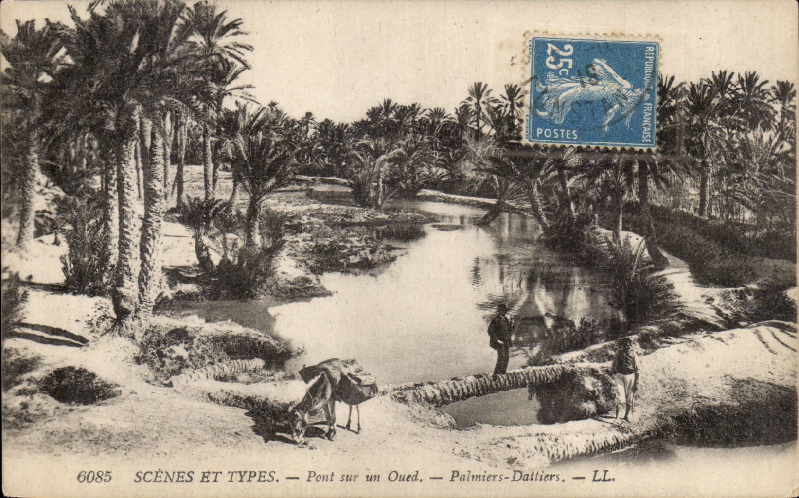 Szenen Algerien-CPA und Standardbrucke auf Wadi Palmen - Datumpalmen (Eselsesel)