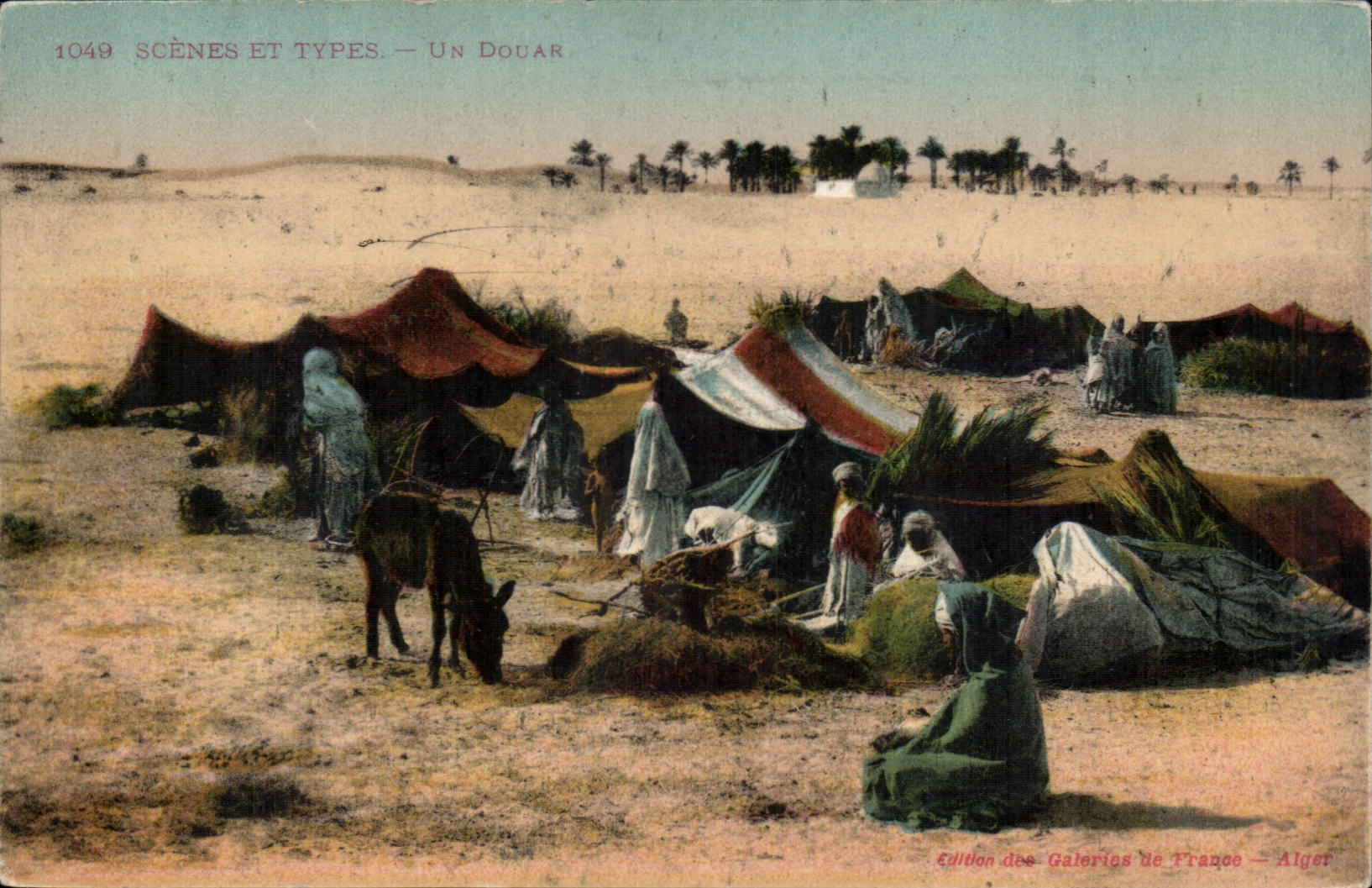 Szenen und Standards Douar (Eselsesel) Algerien-CPA