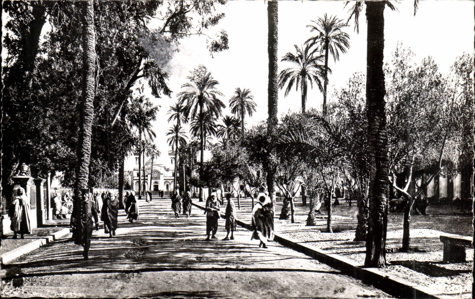 Algeria Laghouat CPA Places olives and the church