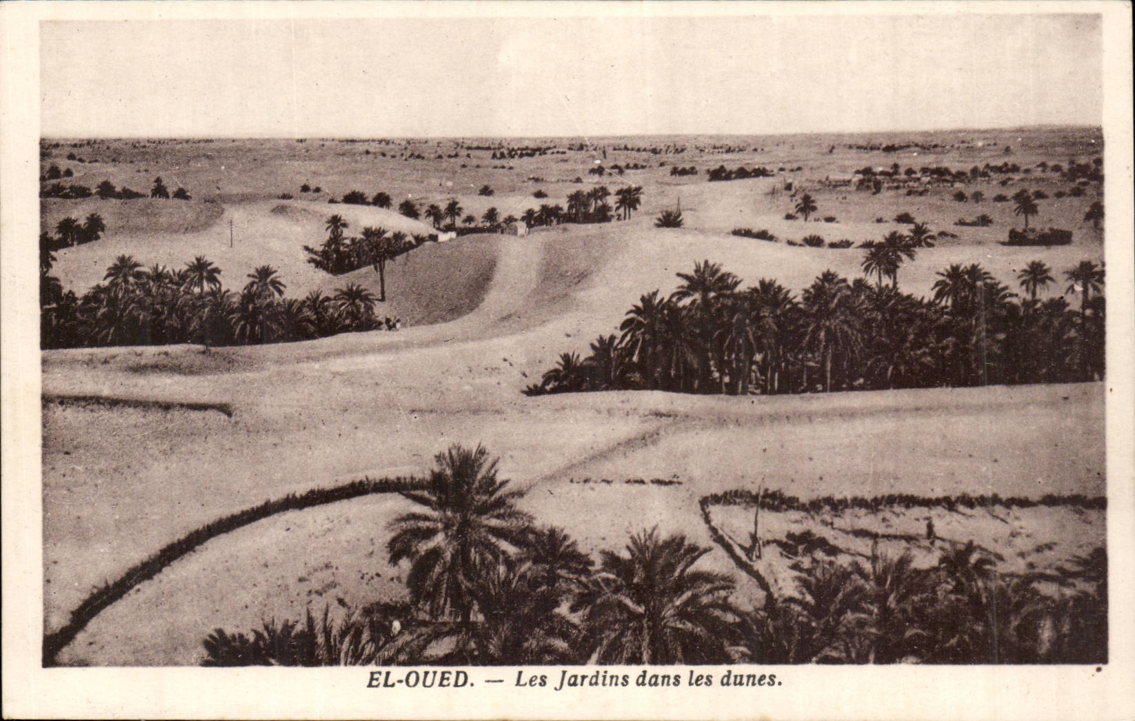 Algeria CPA El wadi gardens in the dunes