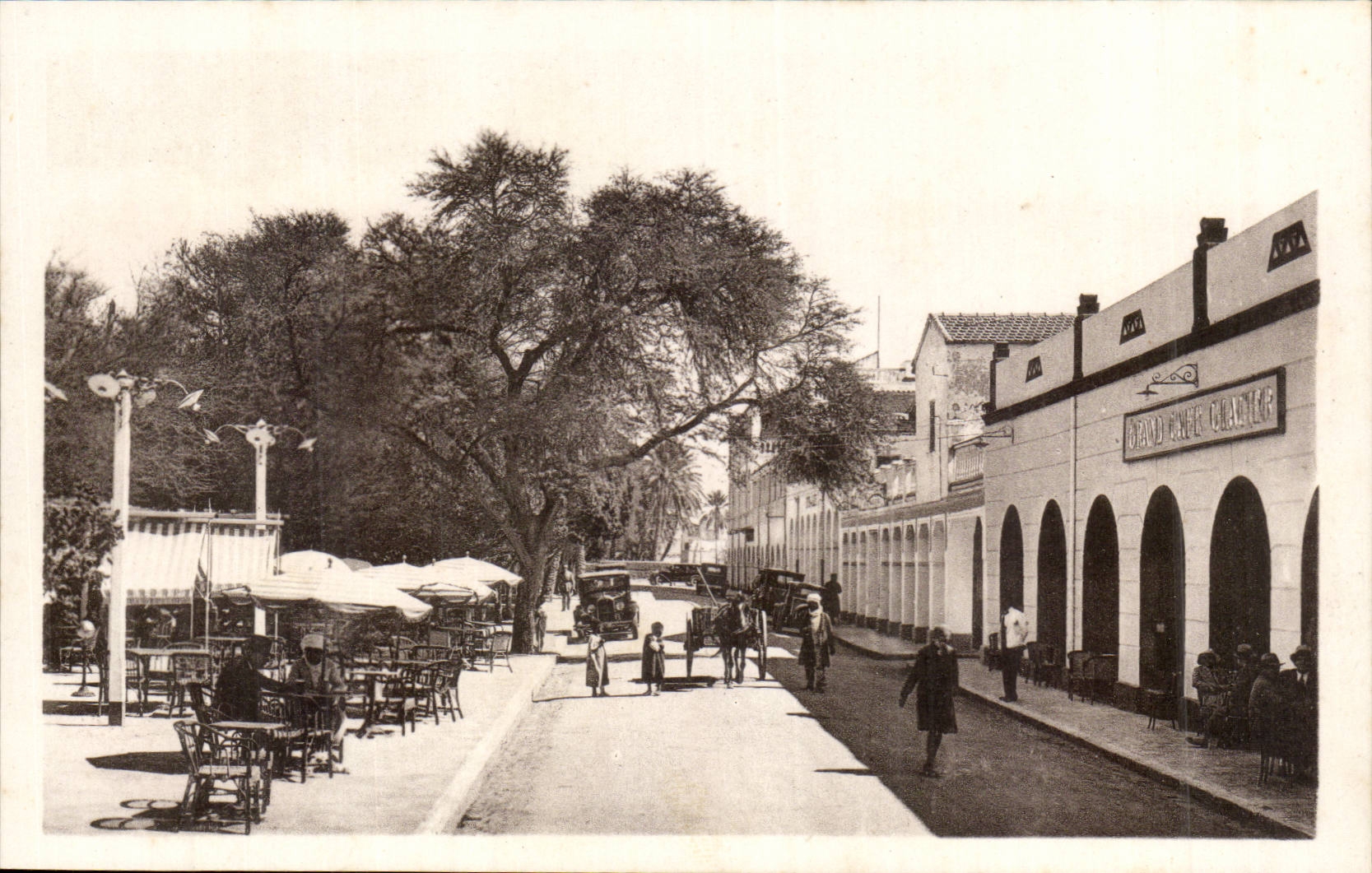 Algeria CPA Biskra the coffee glacier