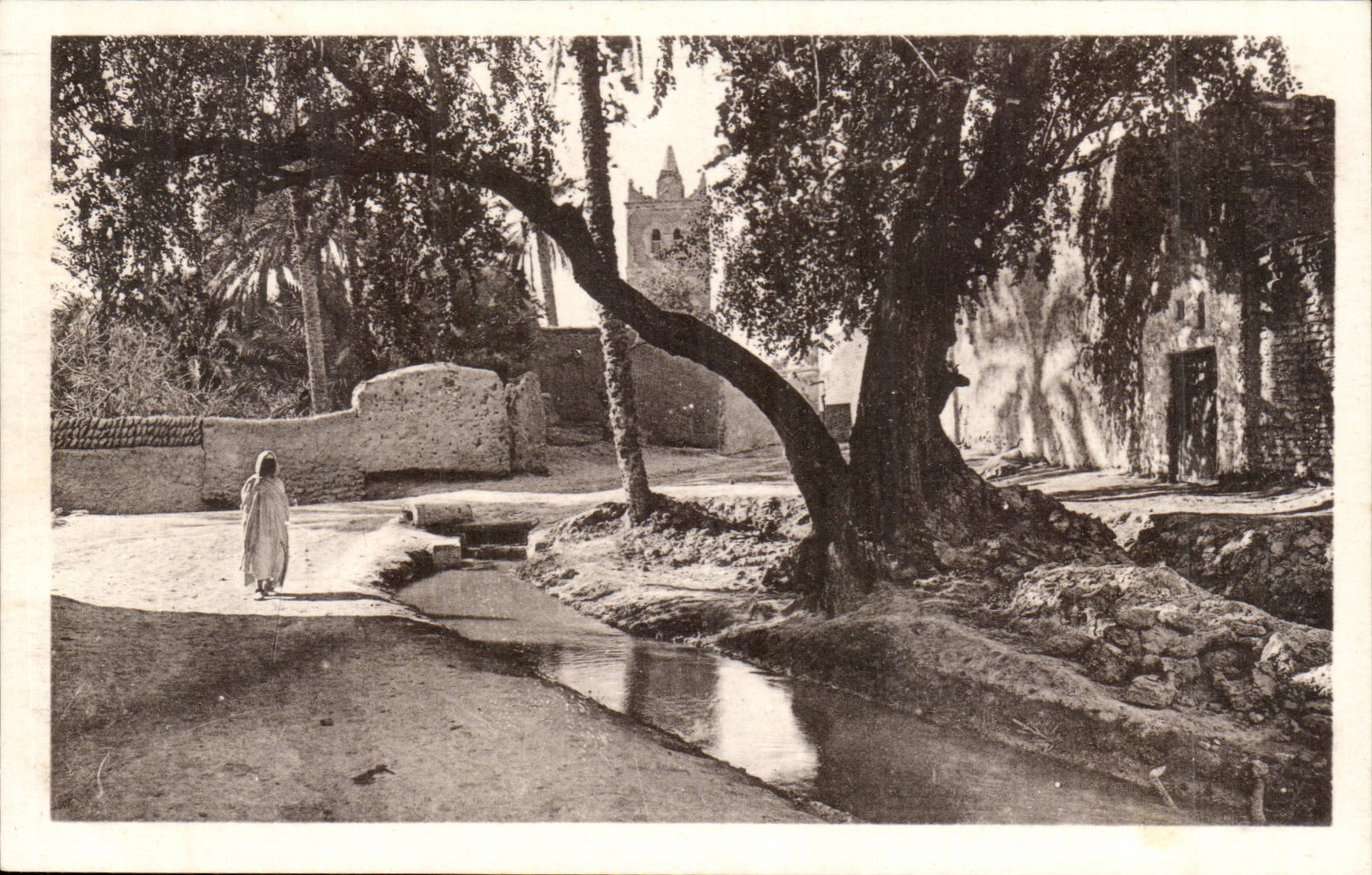 Algeria CPA Biskra the mosque of Sidi Maleck through the trees