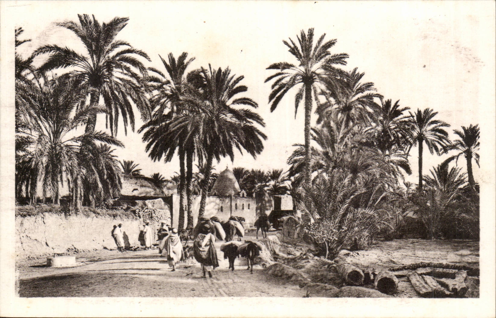 Algeria CPA Biskra Marabout of Sidi Lhassen