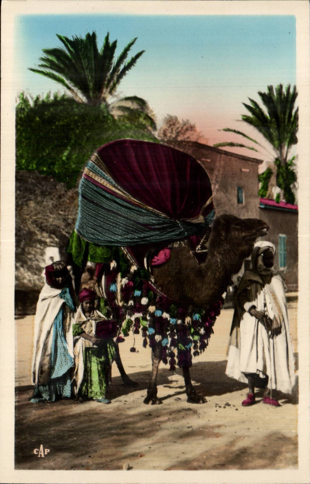 Constantine - Algerien - Algerien - Afrika - Afrika - Biskra - Basour - Kamel - Kamel - CPA