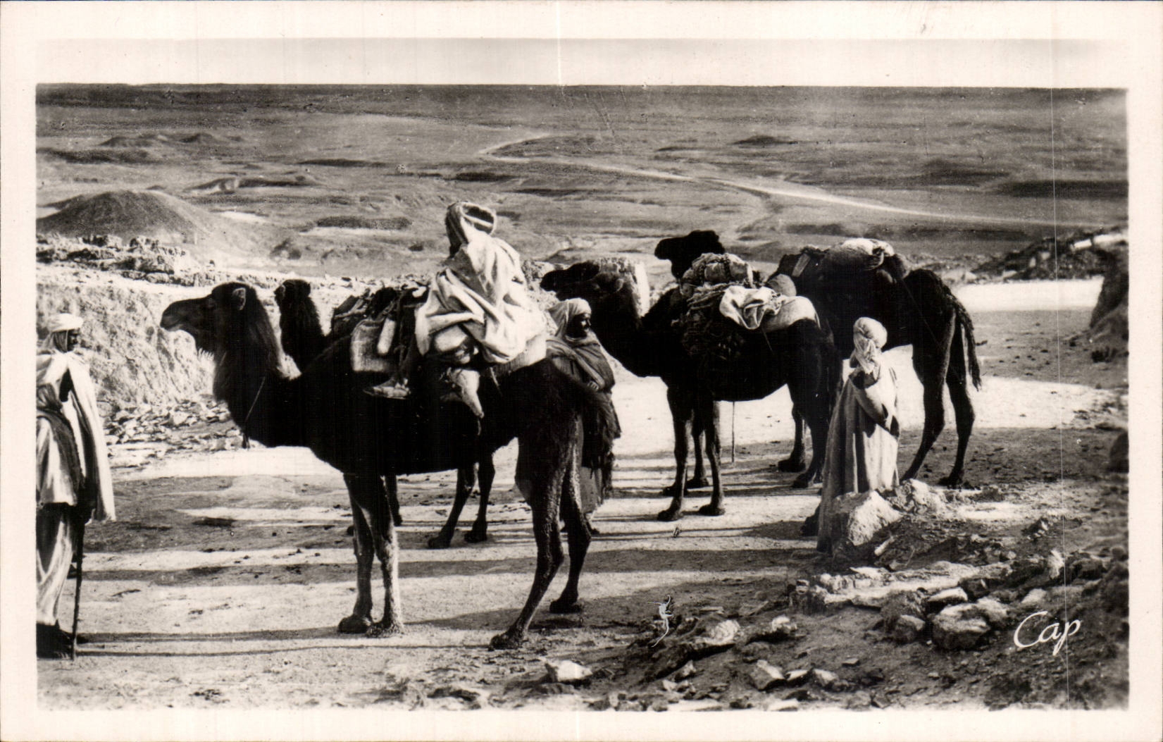 Constantine - Algerien - Algerien - Afrika - Afrika - Biskra - Halt mit dem Kragen von sfa - CPA