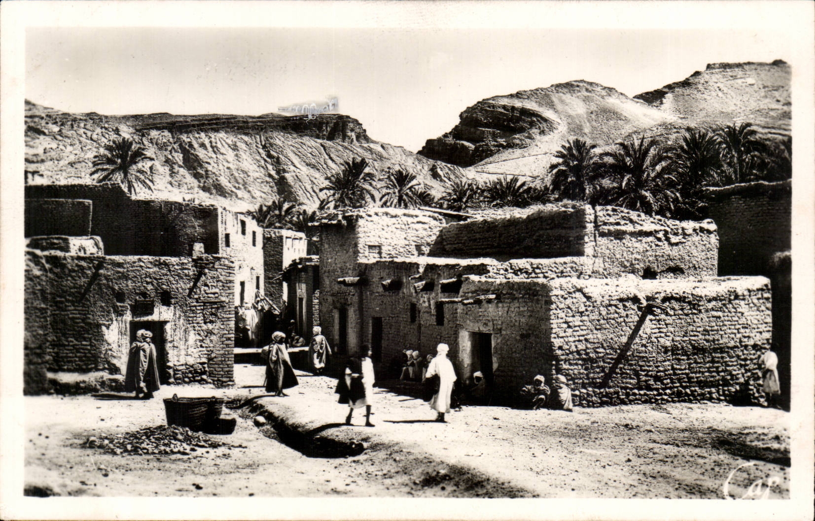 Algeria - Africa - Aures Env de Biska - Oasis Mr Chouneche - CPA