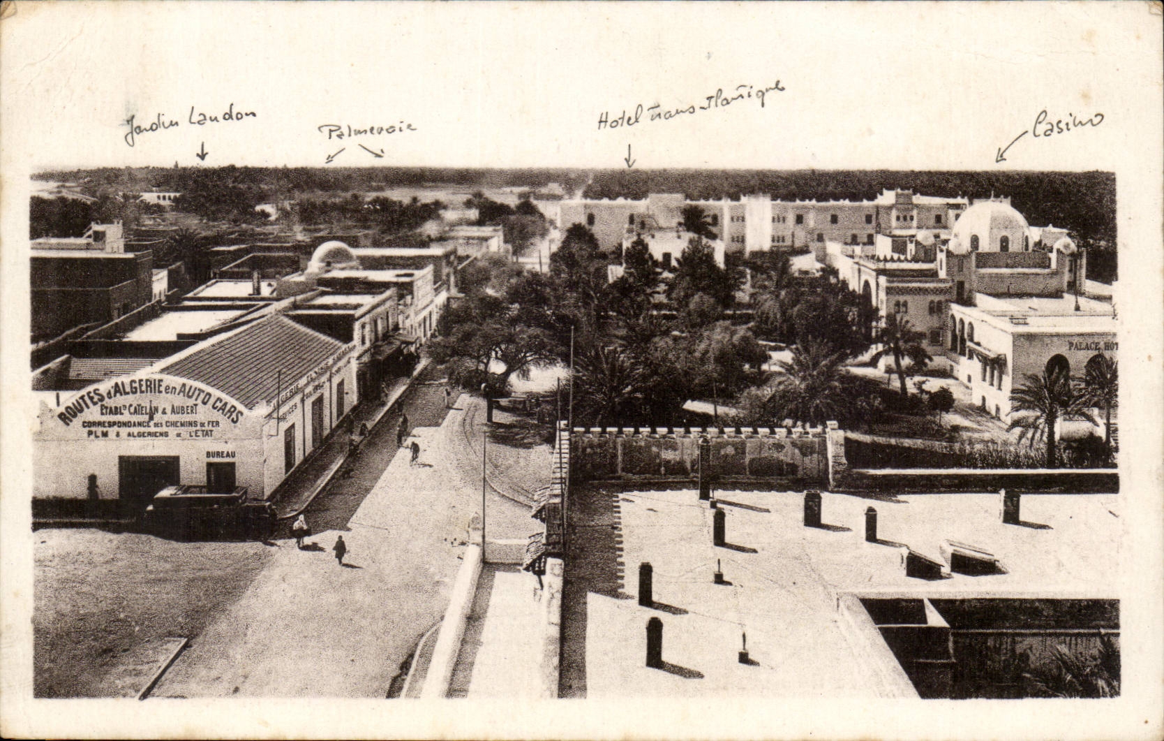 Algerien - Afrika - Biskra - Constantine - Ansicht uber den Weg - Kamel - Kamel - CPA