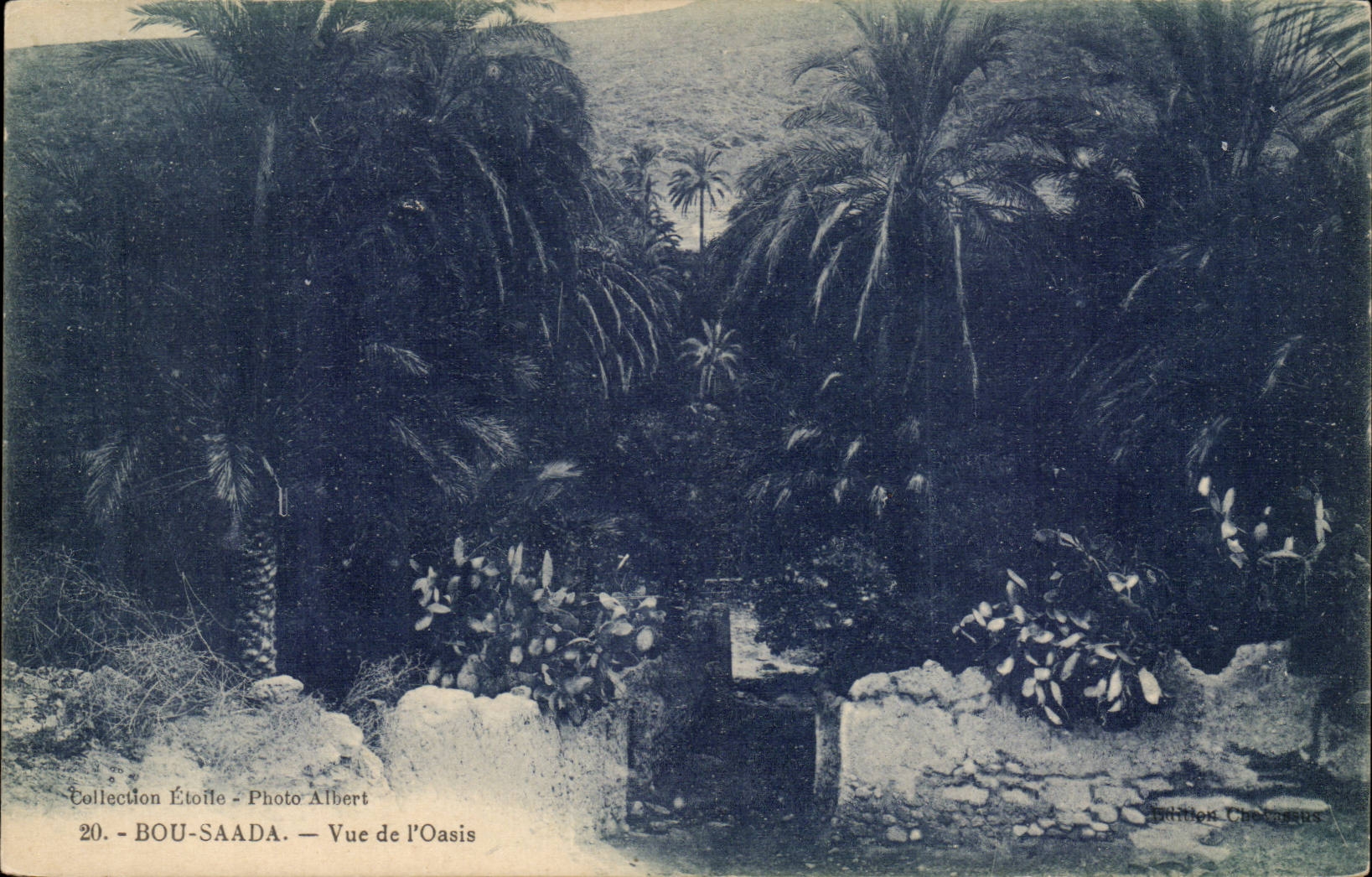 Algeria Bou Saada CPA Seen of the oasis