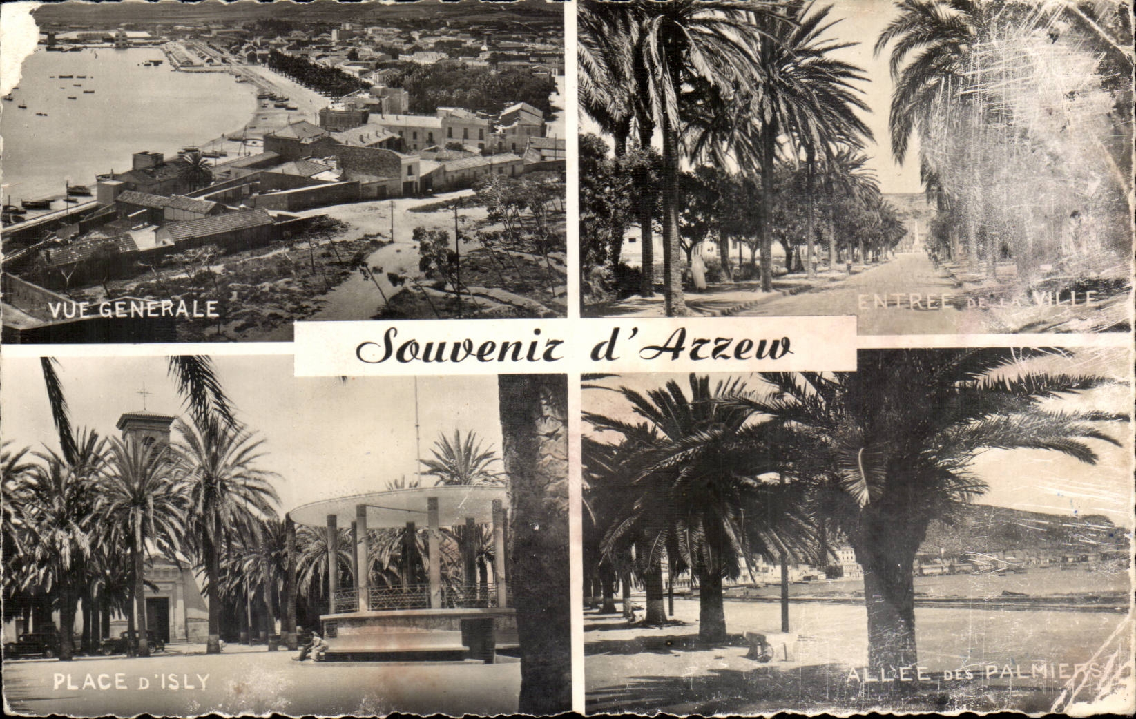 Algeria CPA Souvenir of Azzew