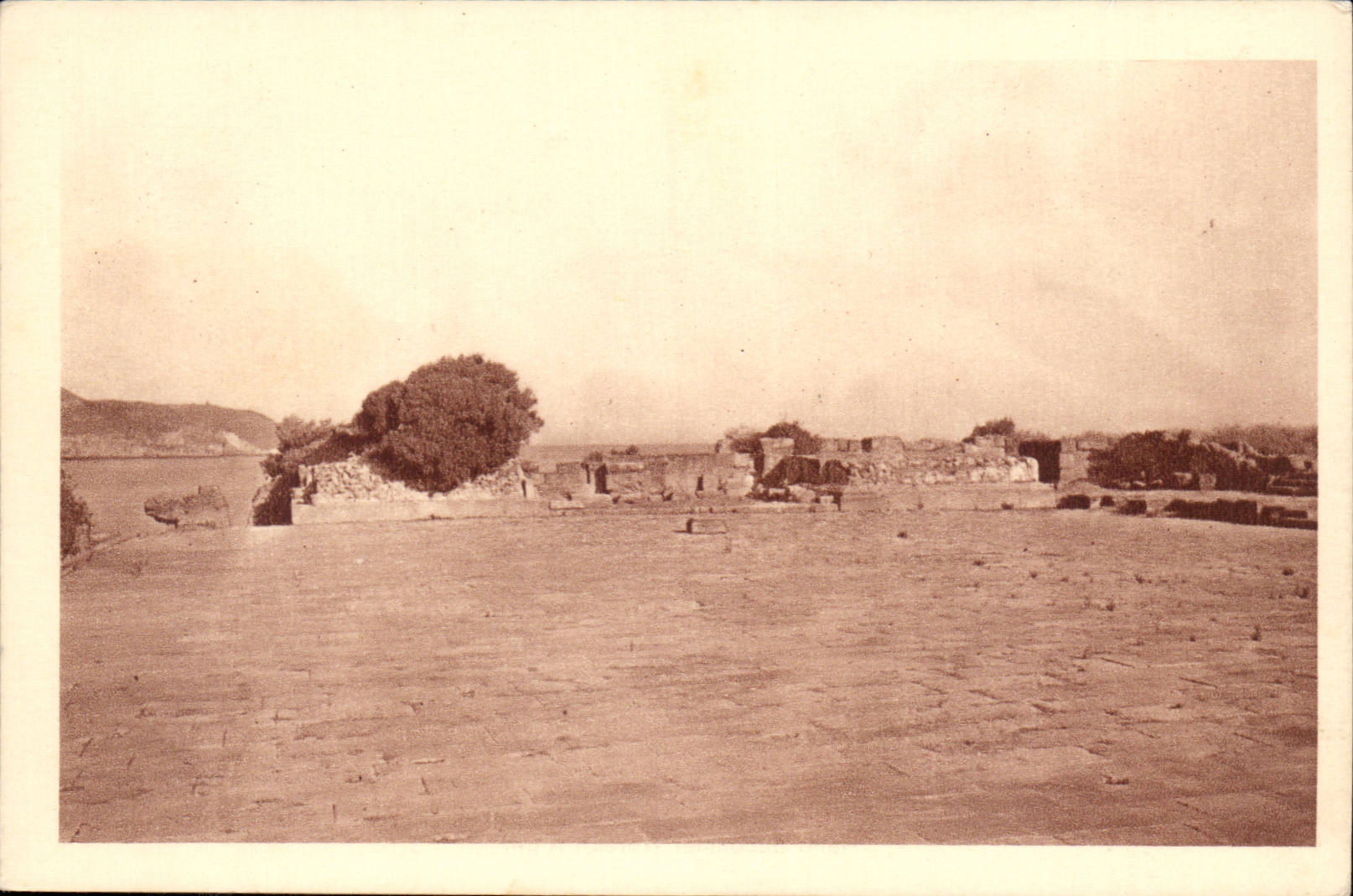 Algeria CPA Tipasa Forum