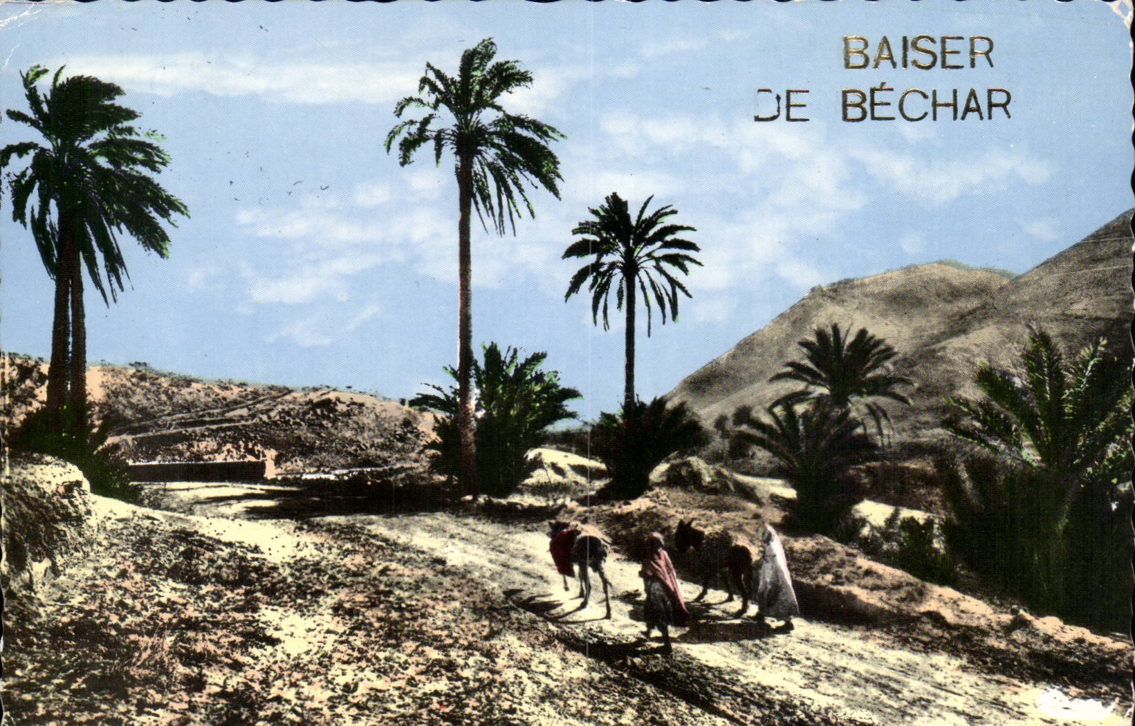 Algeria CPA Kiss of Bechar (ass donkey)