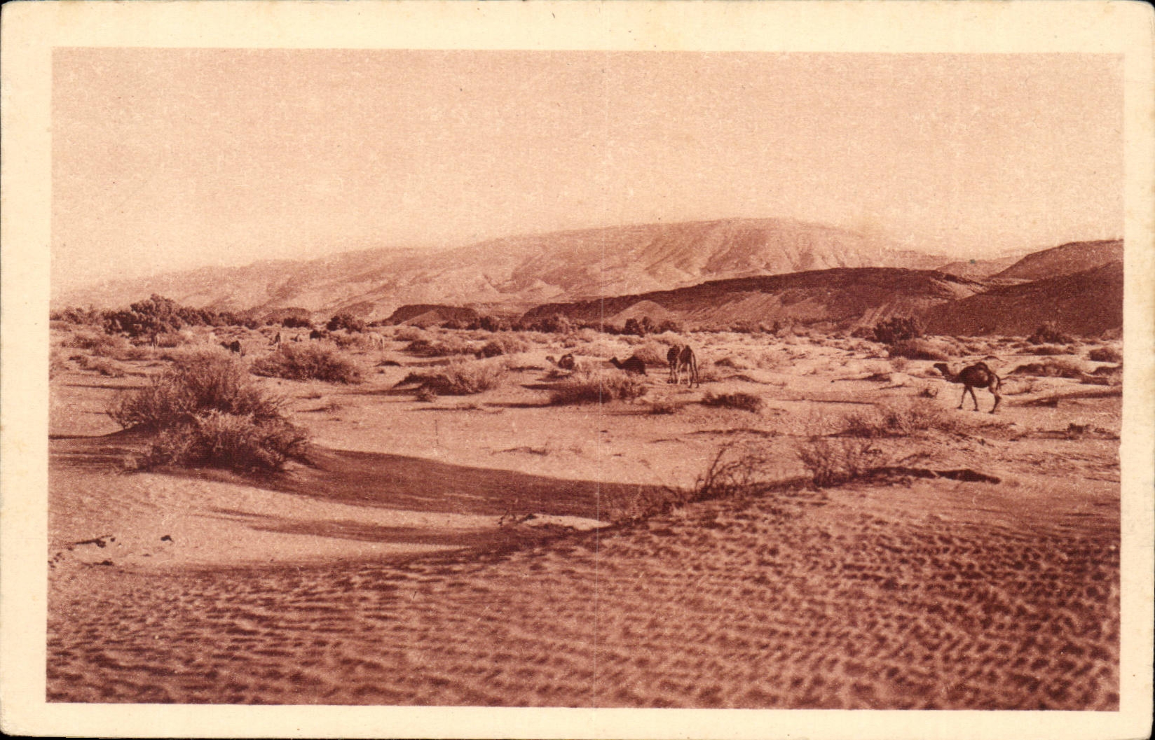 Algeria CPA Area of In Belren