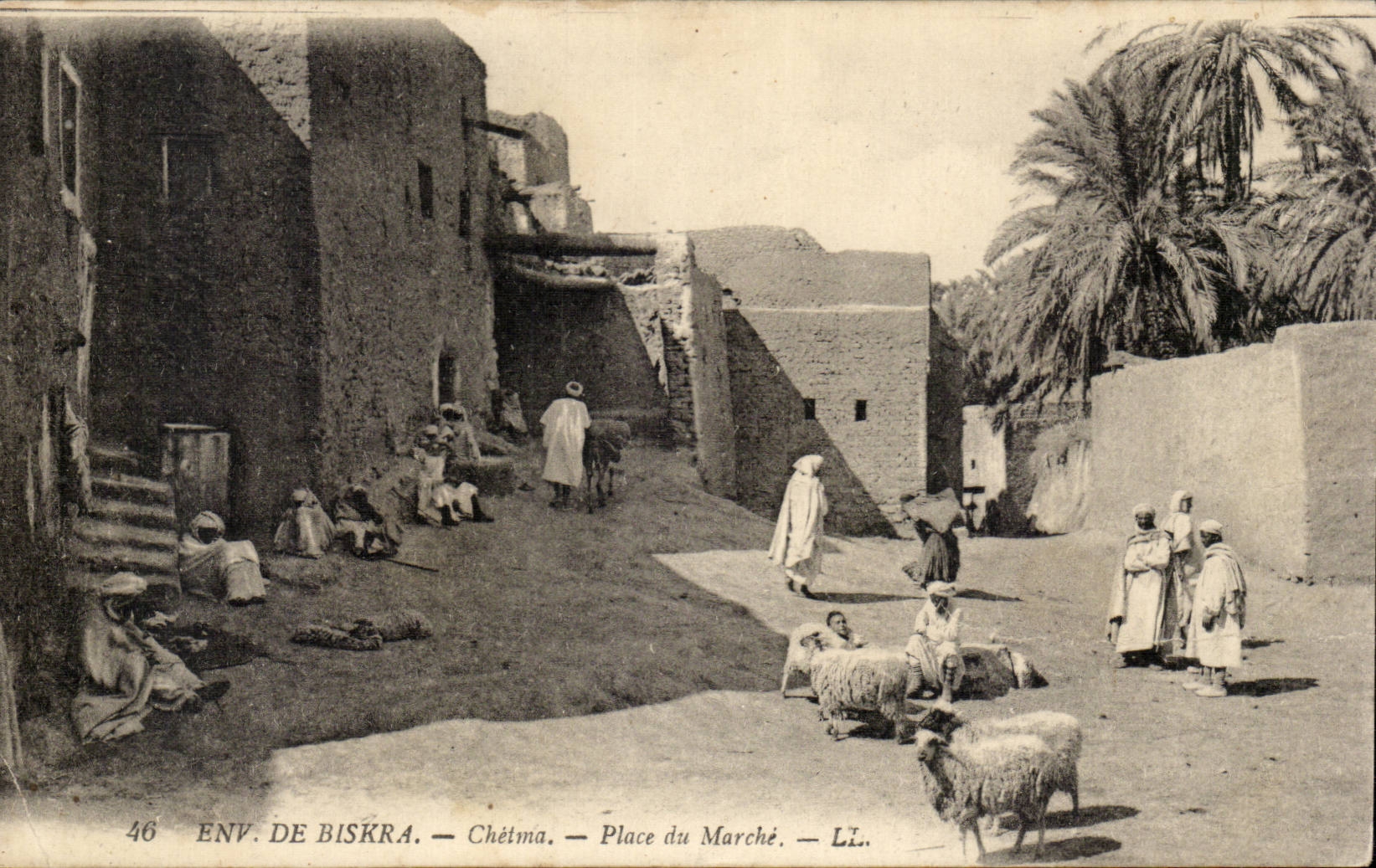 Algeria CPA Environs of Biskra Chetma Places market (sheep)