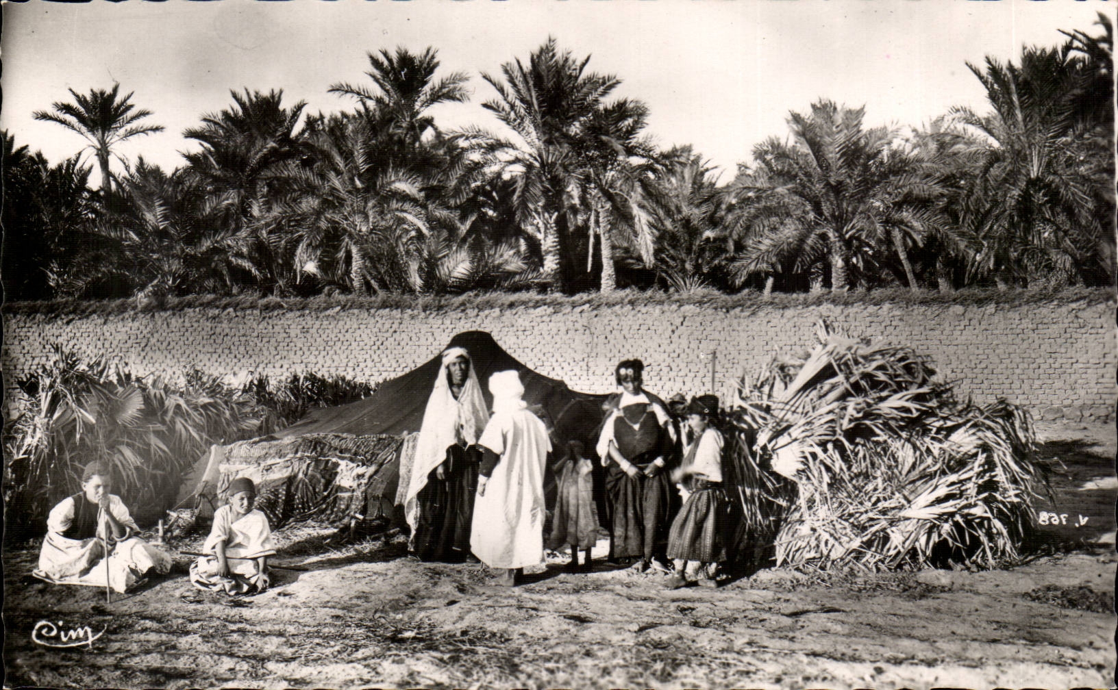 Algeria Biskra CPA Constantine Camping