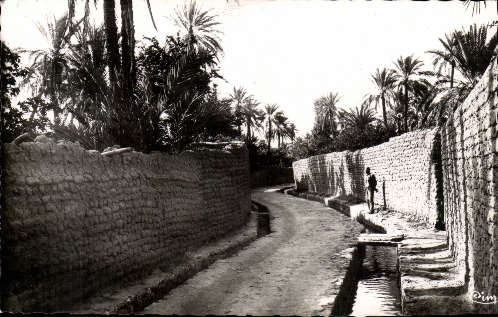 Algerien Biskra CPA eine Strasse von Bab Darb