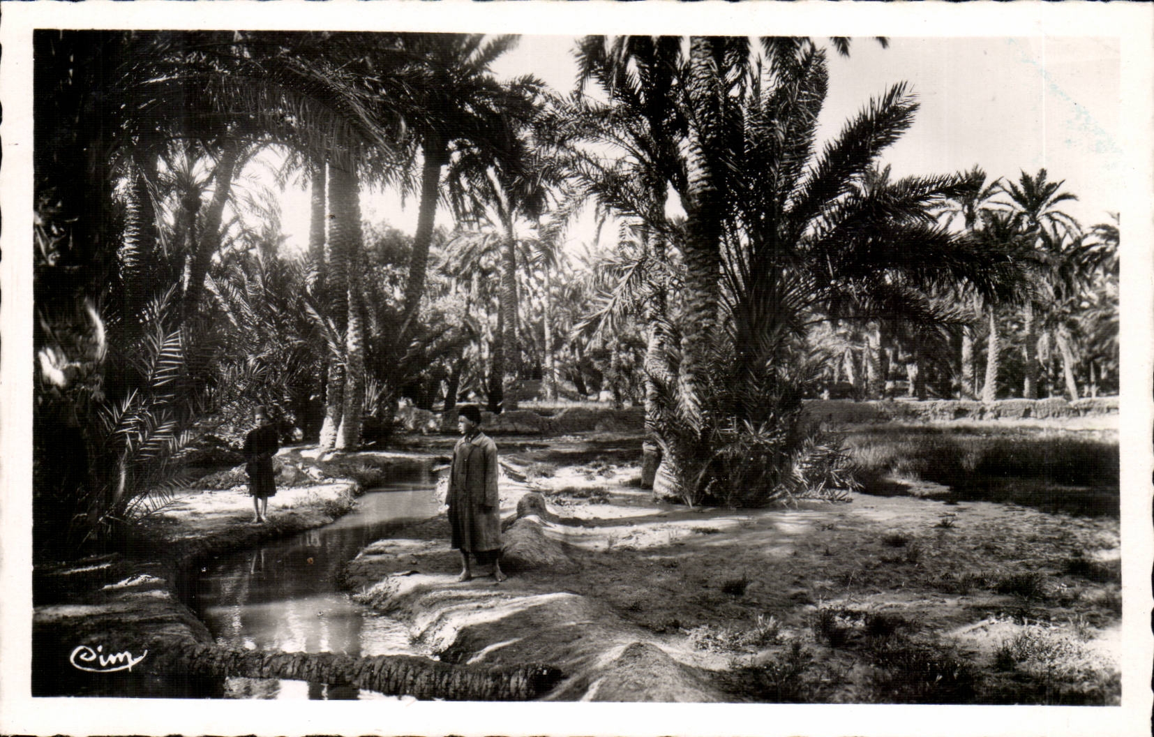 Palmen Algerien-Biskra CPA Constantine - Datumpalmen