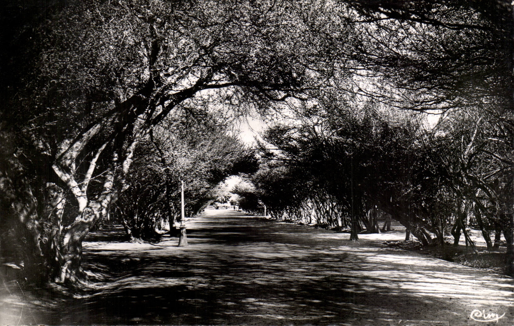 Algerien Biskra CPA Constantine die Crouzet Gassen