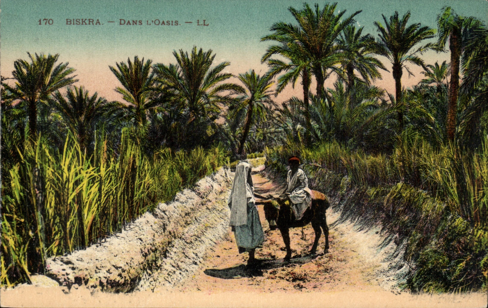 Algeria Biskra Constantine CPA In the oasis (ass donkey)