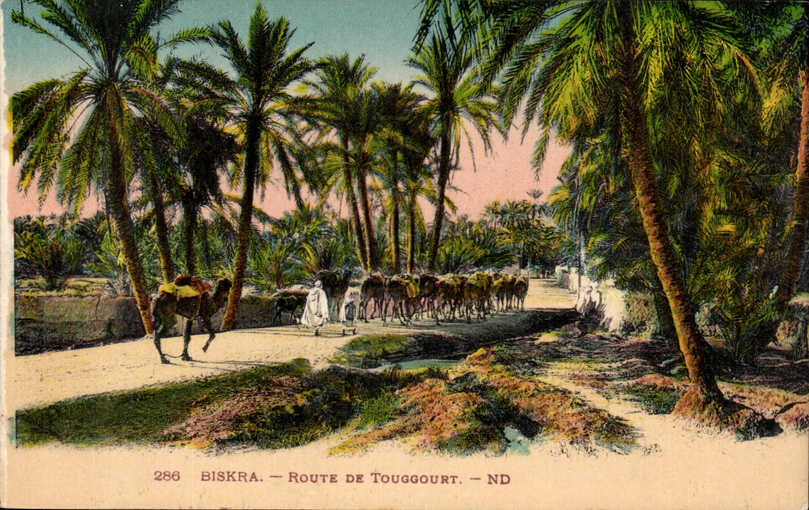 Algeria Biskra Constantine CPA Road of Touggourt