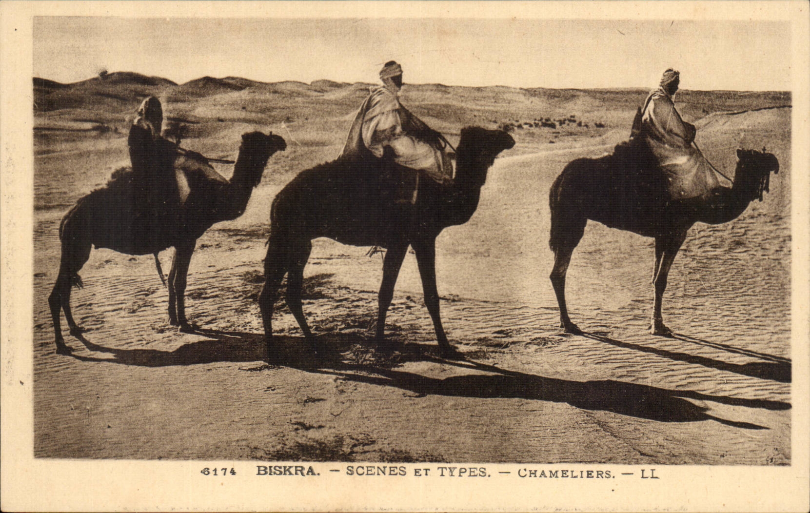 Algeria CPA Biskra Constantine Camel drivers