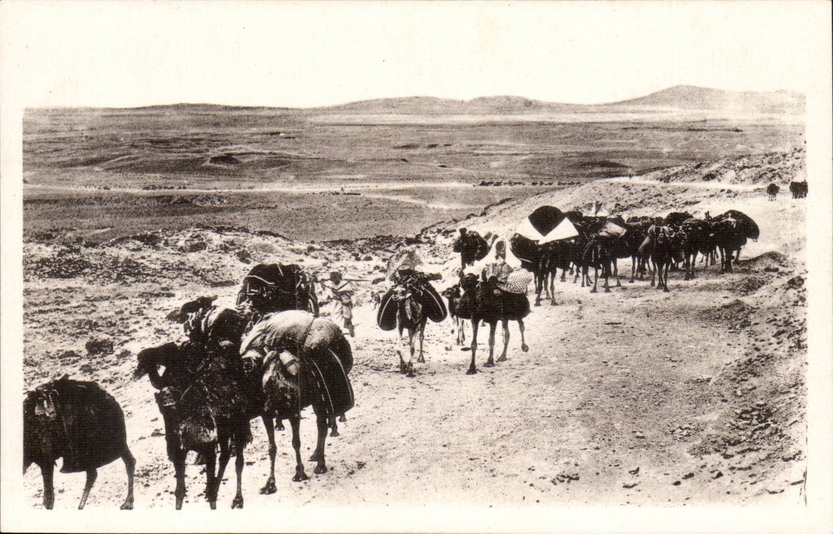 Algeria Constantine CPA Biskra Caravan with the collar Sfa