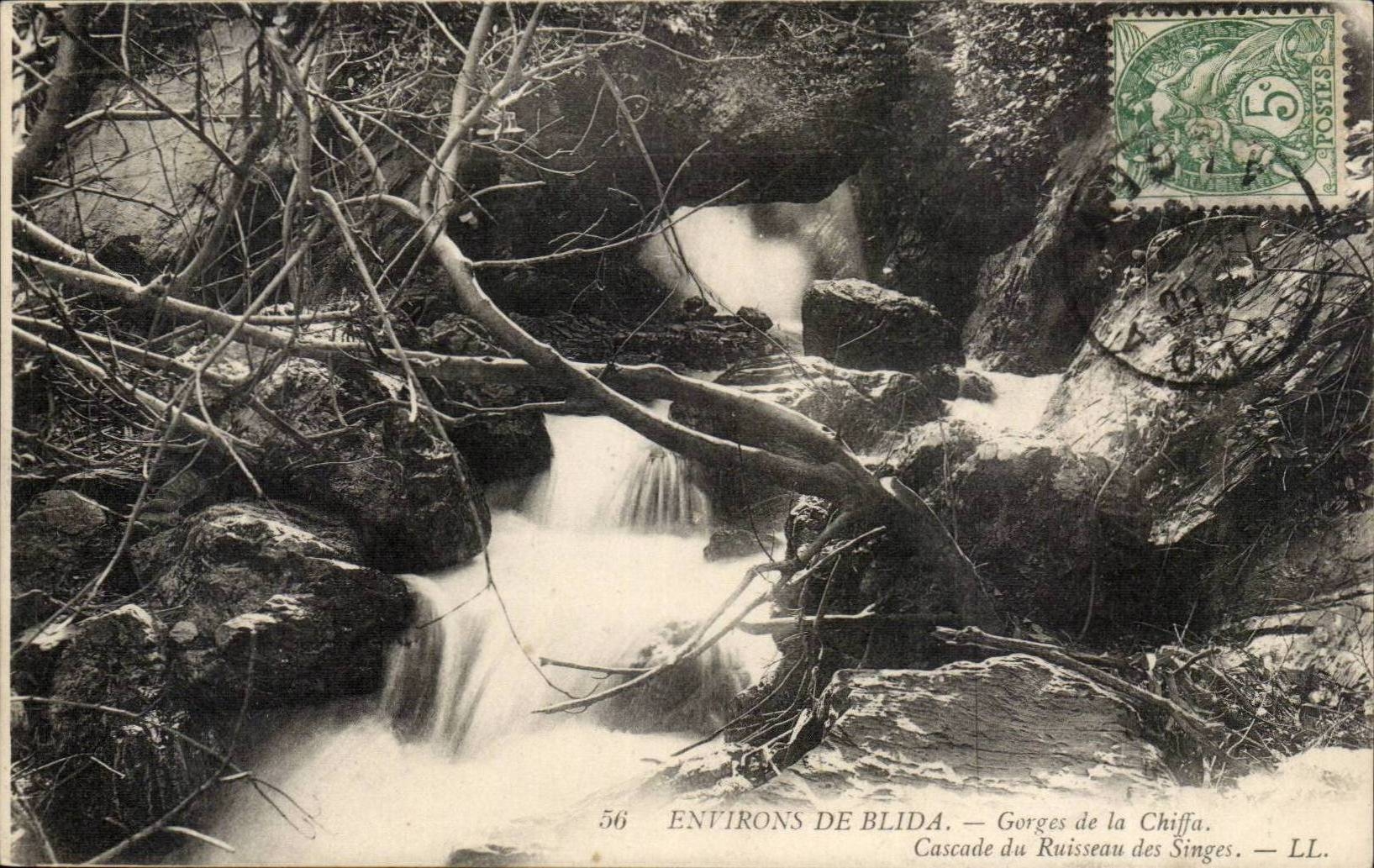 Algeria CPA Environs of Blida Gorges of Chiffa Cascades of the brook of the monkeys