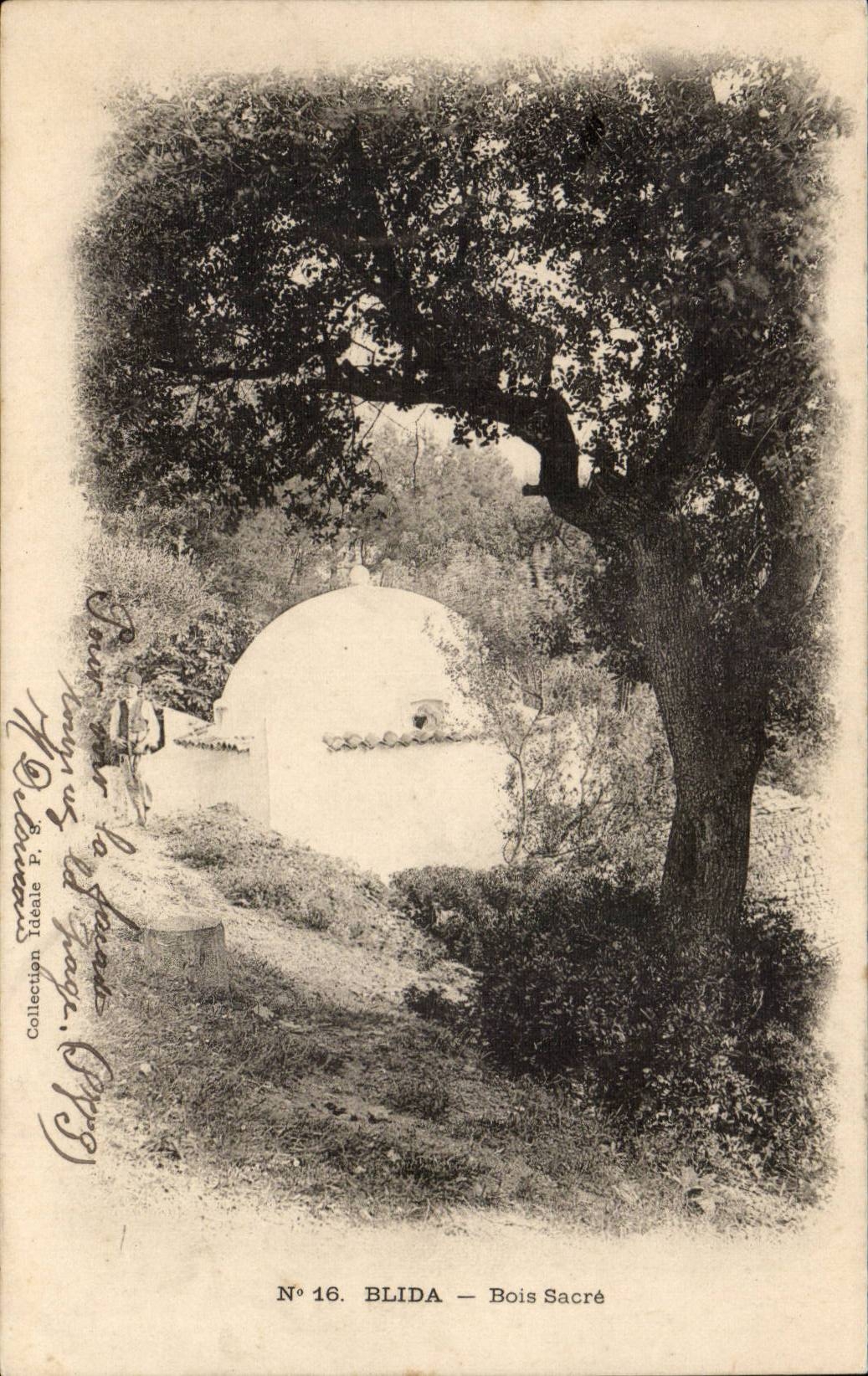 Algeria CPA Blida Bois crowns