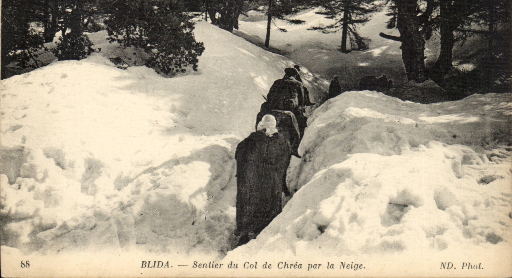 Algeria CPA Blida Path of the collar of Chrea by snow