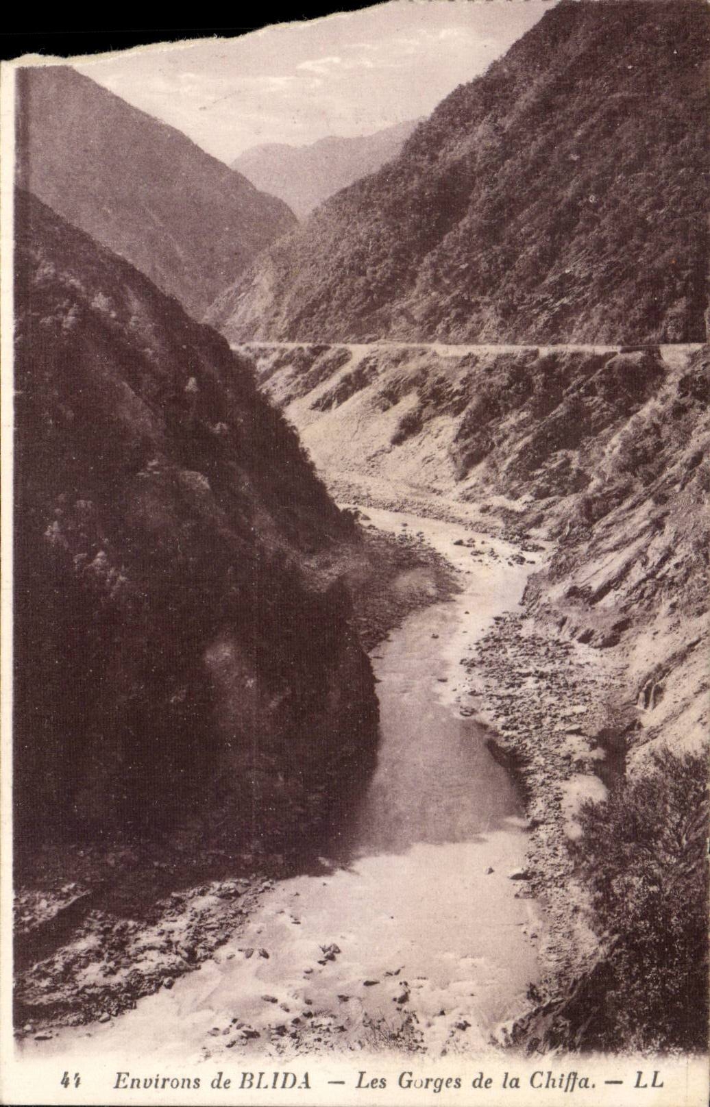 Algeria CPA Surroundings of Blida Falls of Chiffa