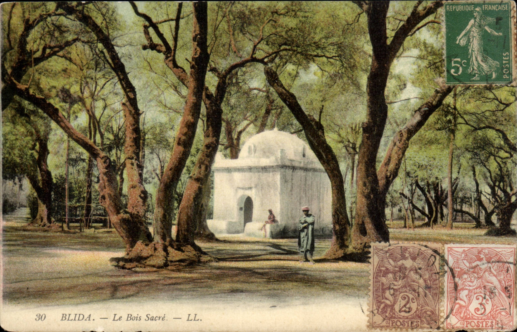 Algeria CPA Blida wood crowns